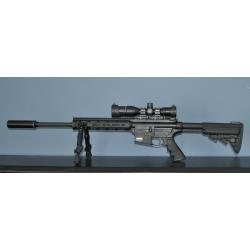Carabine Smith & Wesson MP15-22 Sport II Performance Center &eacute;quip&eacute;e