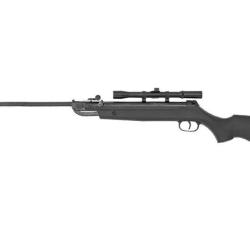Carabine Beeman QB 12 avec lunette 4x20