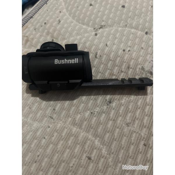 Point rouge bushnell