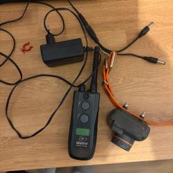 Collier beeper dogtra t b 2600