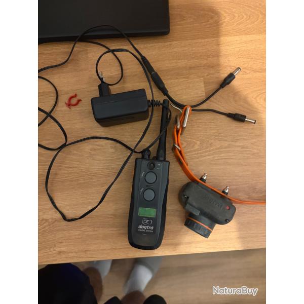 Collier beeper dogtra t b 2600