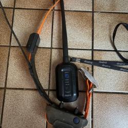 collier rep&eacute;rage dogtra pathfinder 1