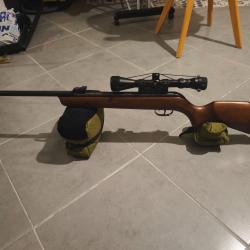 Carabine Gamo hunter 440 as