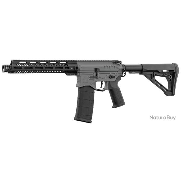 R�plique R15 mod 1 Zion Arms noir/gris garde main long