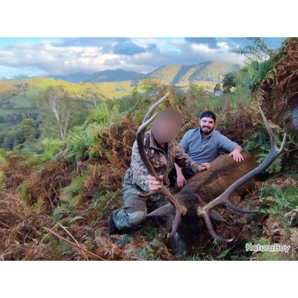 Chasse Brame Cerf CM1