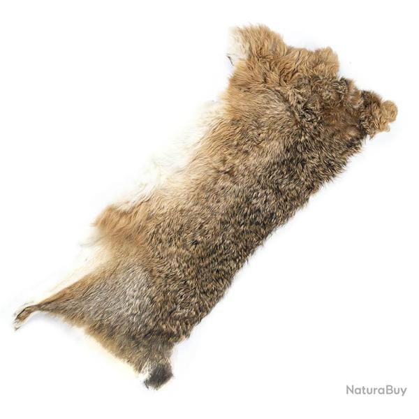 Li�vre 1/2 peau naturelle