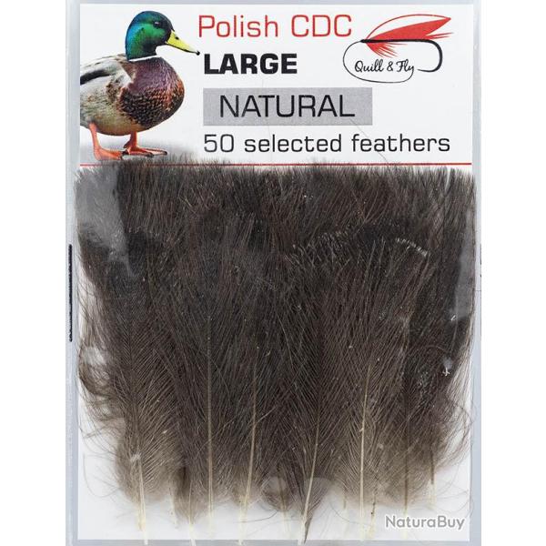 Cul de canard select taille L Gris naturel