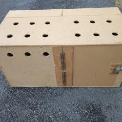 Caisse chien bois voiture partner chasse