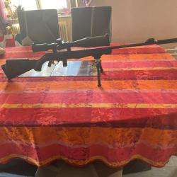 Rossi 8122 enti&egrave;rement customis&eacute; Precision digne des plus grande