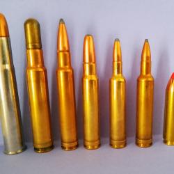 COLLECTION DE CARTOUCHES  GROS CALIBRES AFRICAINS ET MAGNUMS