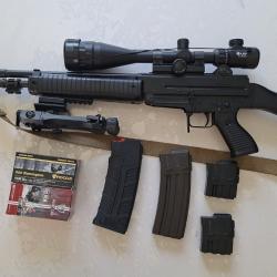 RARE Beretta AR70 calibre .222 Rem + accessoires
