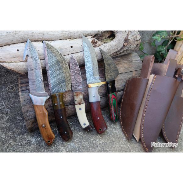 Lot de 5 Skinner Poignard Couteau Damas Lame 256 Couches Manche Bois Fabrication Artisanale 01
