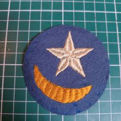 [RARE] Insigne 19th Infantry Division "Twilight"
