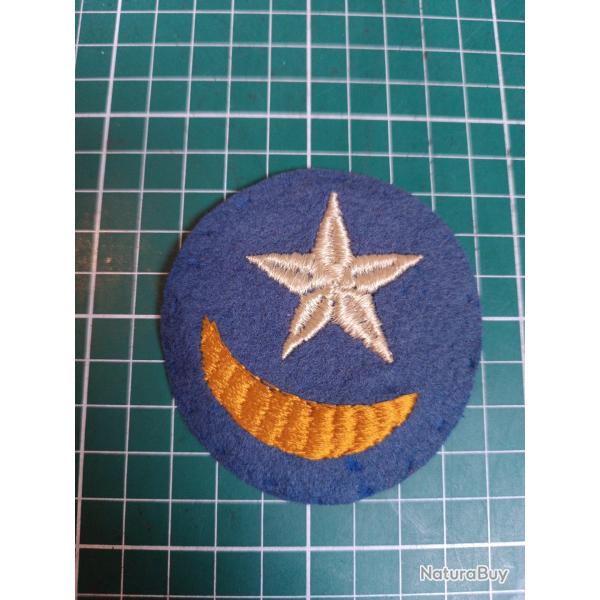 [RARE] Insigne 19th Infantry Division "Twilight"