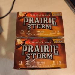 CARTOUCHES FEDERAL PRAIRIE STORM