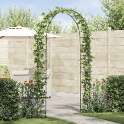 Arche de jardin Floral Noir 115 x 37 x 231 cm