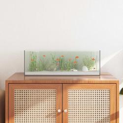 Aquarium avec stockage Transparent 60 x 20 x 20 cm Verre