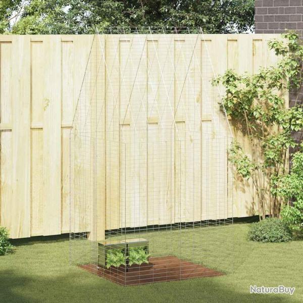 Cage pour lapins Argent� 100 x 100 x 210 cm Acier galvanis�