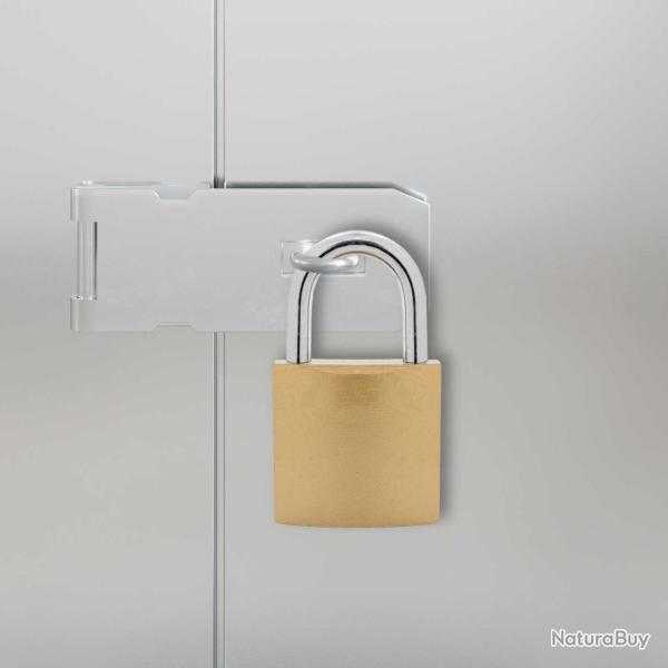 U Lock avec Cl�s 2 pcs Laiton Fer