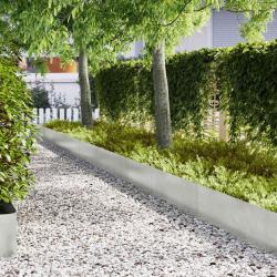 Bordure de Pelouse 30 pcs Argent 100 x 0,05 x 30 cm