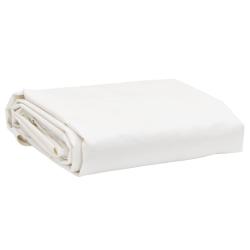 B&acirc;che blanc 1x2,5 m 650 g/m&sup2;