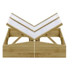 Serres 2 pcs Bois de pin impr&eacute;gn&eacute; 100x50x35 cm