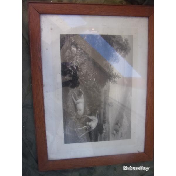 gravure de chasse "Folle et Mitte , chienne de Louis XIV"