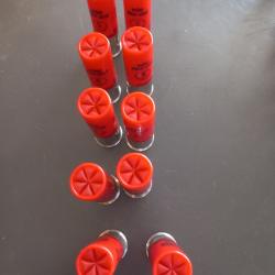 Lot de 10 cartouches 12/76 plomb 5 FOB