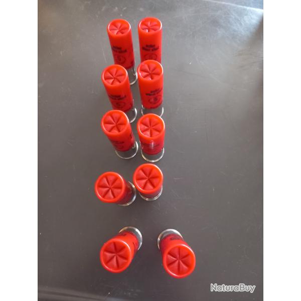 Lot de 10 cartouches 12/76 plomb 5 FOB