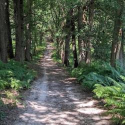 Action grand gibier &agrave; Rochefort en Yvelines 1150�