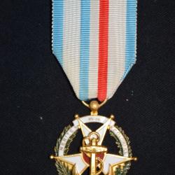 MEDAILLE DU MERITE COLONIAL-ANCIENS MILITAIRES COLONIAUX-TROUPE DE MARINE (1949)