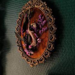 Cadre cabinet de curiosit&eacute;