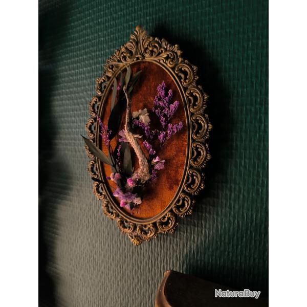 Cadre cabinet de curiosit�