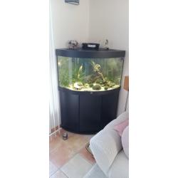 Aquarium d'angle Juwel TRIGON 190 complet