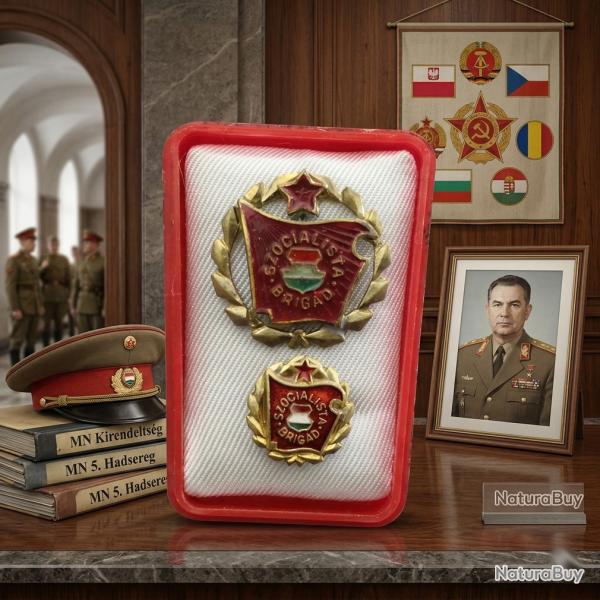 Lot de deux Insignes politique de la brigade des travailleurs socialistes Hongrois