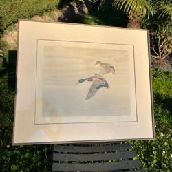 Gravure canards L&eacute;on Danchin sign&eacute;e et num&eacute;rot&eacute;e