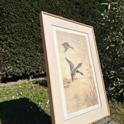 Gravure couple canards L&eacute;on Danchin sign&eacute;e et num&eacute;rot&eacute;e