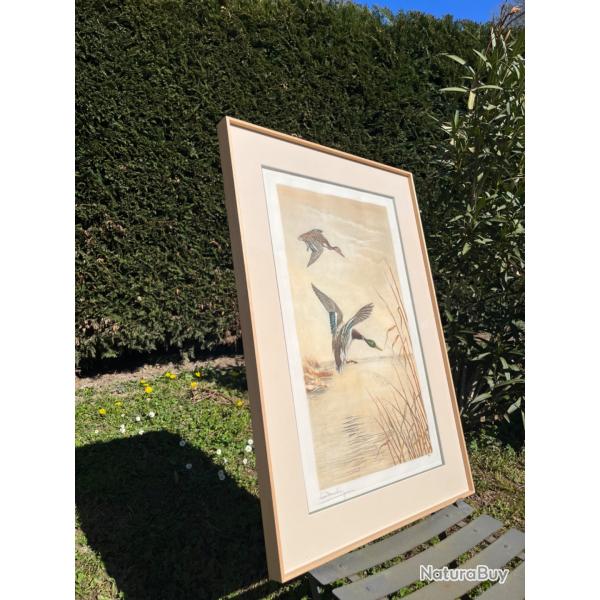 Gravure couple canards L�on Danchin sign�e et num�rot�e