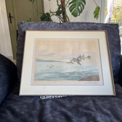 Gravure vol canards sarcelles L&eacute;on Danchin sign&eacute;e et num&eacute;rot&eacute;e