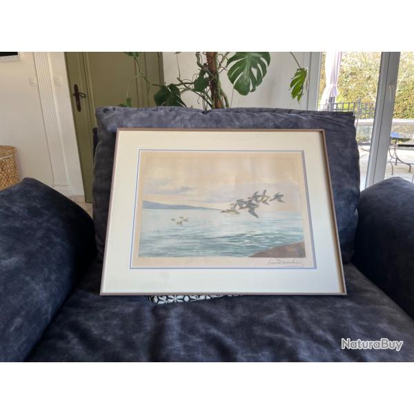 Gravure vol canards sarcelles L�on Danchin sign�e et num�rot�e