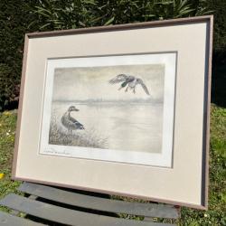 Gravure couple de canards L&eacute;on Danchin sign&eacute;e et num&eacute;rot&eacute;e