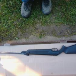 Carabine 5.5