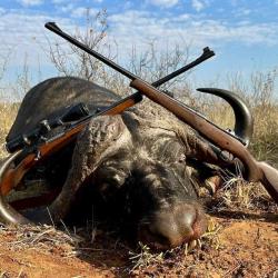 Safari en Afrique du Sud