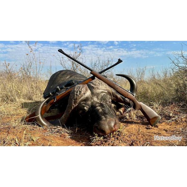 Safari en Afrique du Sud