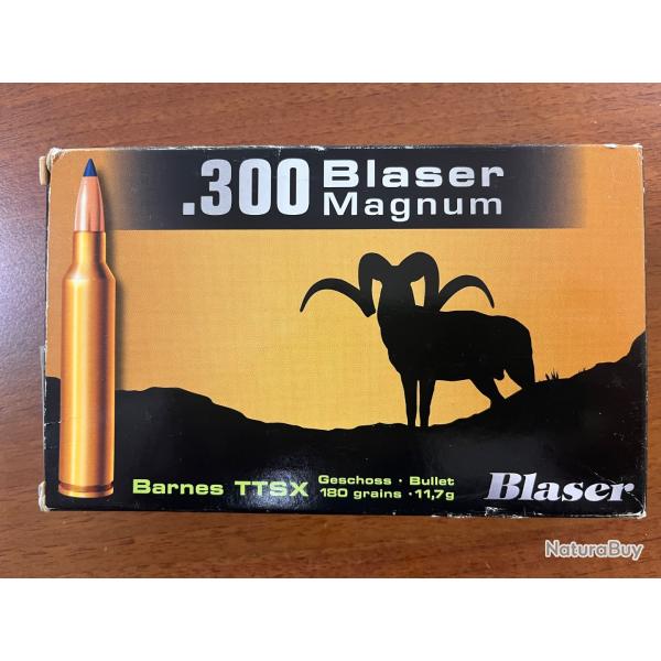 Balles BLASER Magnum