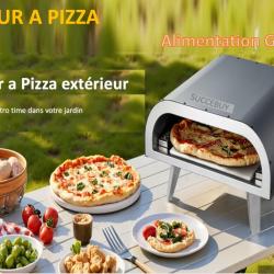 Four &agrave; pizza au propane Succebuy , four &agrave; pizza portable pour l'ext&eacute;rieur, avec pierre
