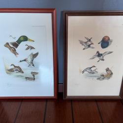 &Eacute;tudes canard de Riab