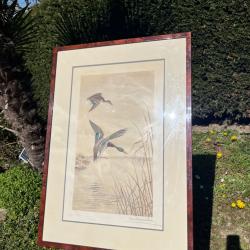 Gravure L&eacute;on Danchin canards col vert sign&eacute;e et num&eacute;rot&eacute;e