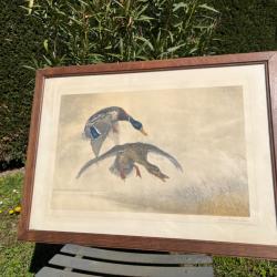 Gravure L&eacute;on Danchin sign&eacute;e et num&eacute;rot&eacute;e couple de canards vol vert