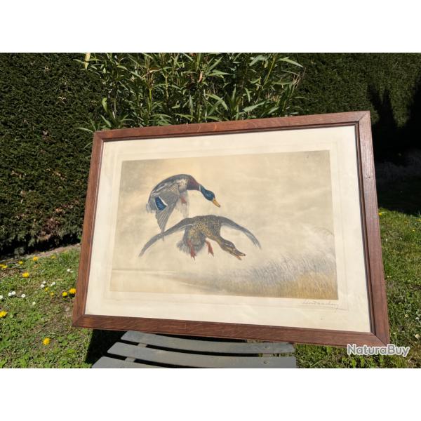 Gravure L�on Danchin sign�e et num�rot�e couple de canards vol vert